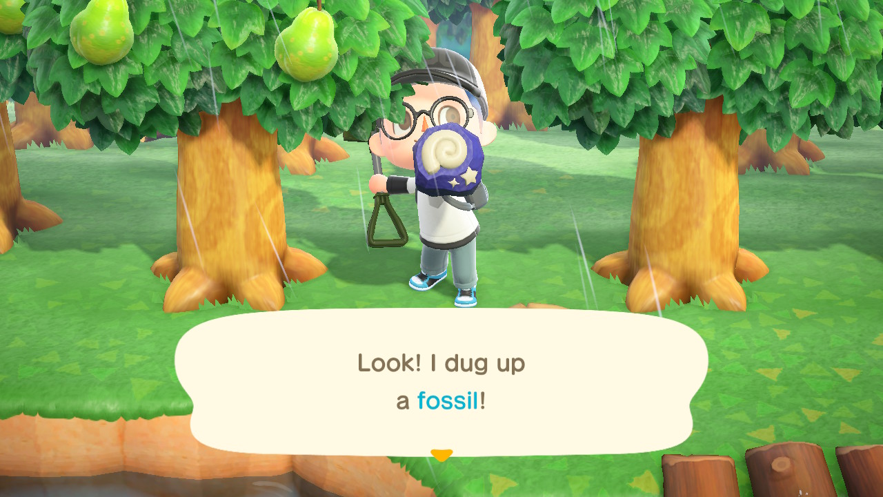 Trouver des fossiles